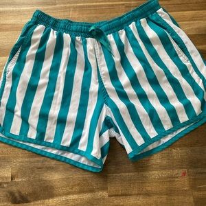 Kortni Jean Mens Teal Stripe Swim Shorts